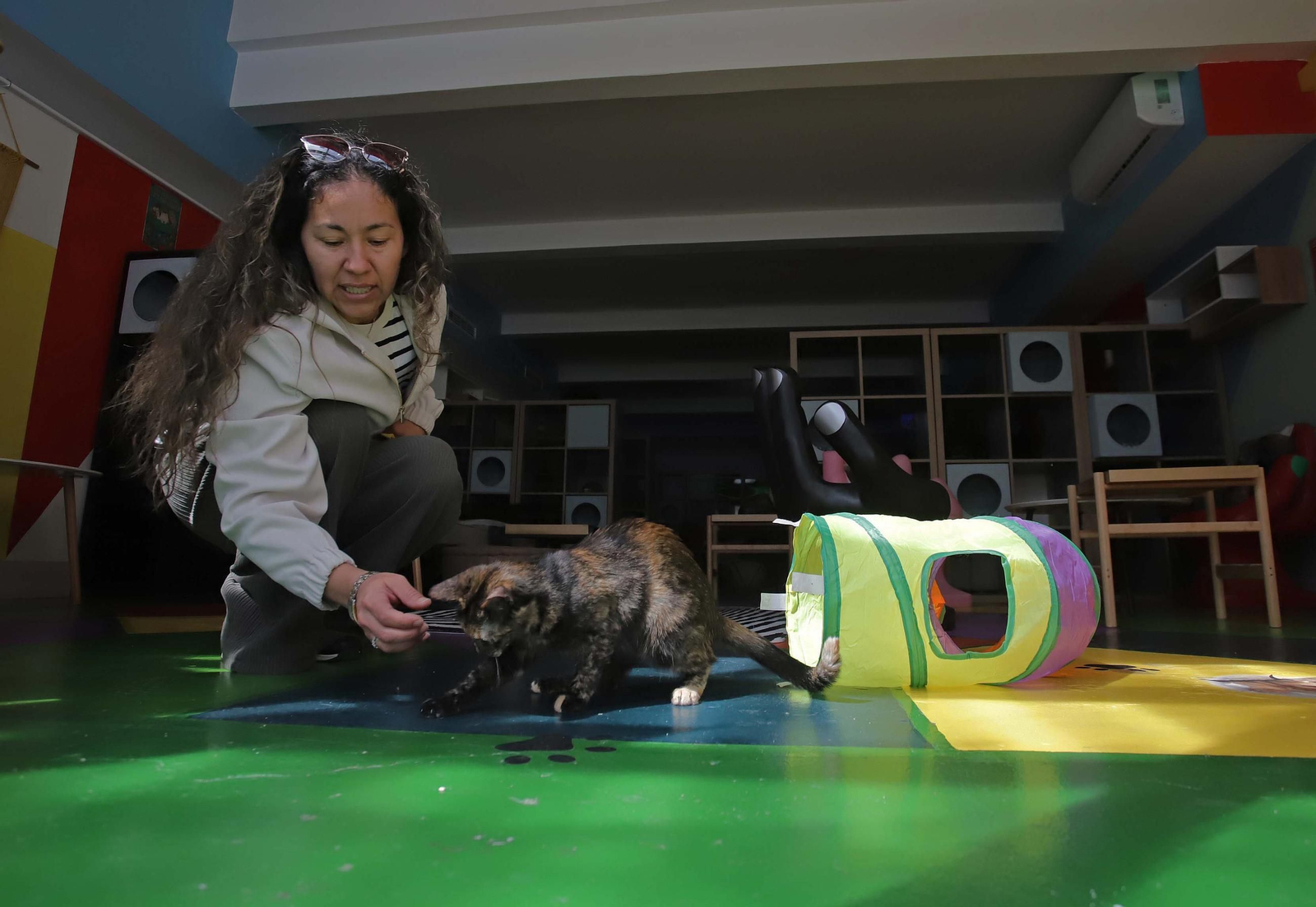 Fotos de Kitty Cat, la cafetería - refugio de gatos en La Línea