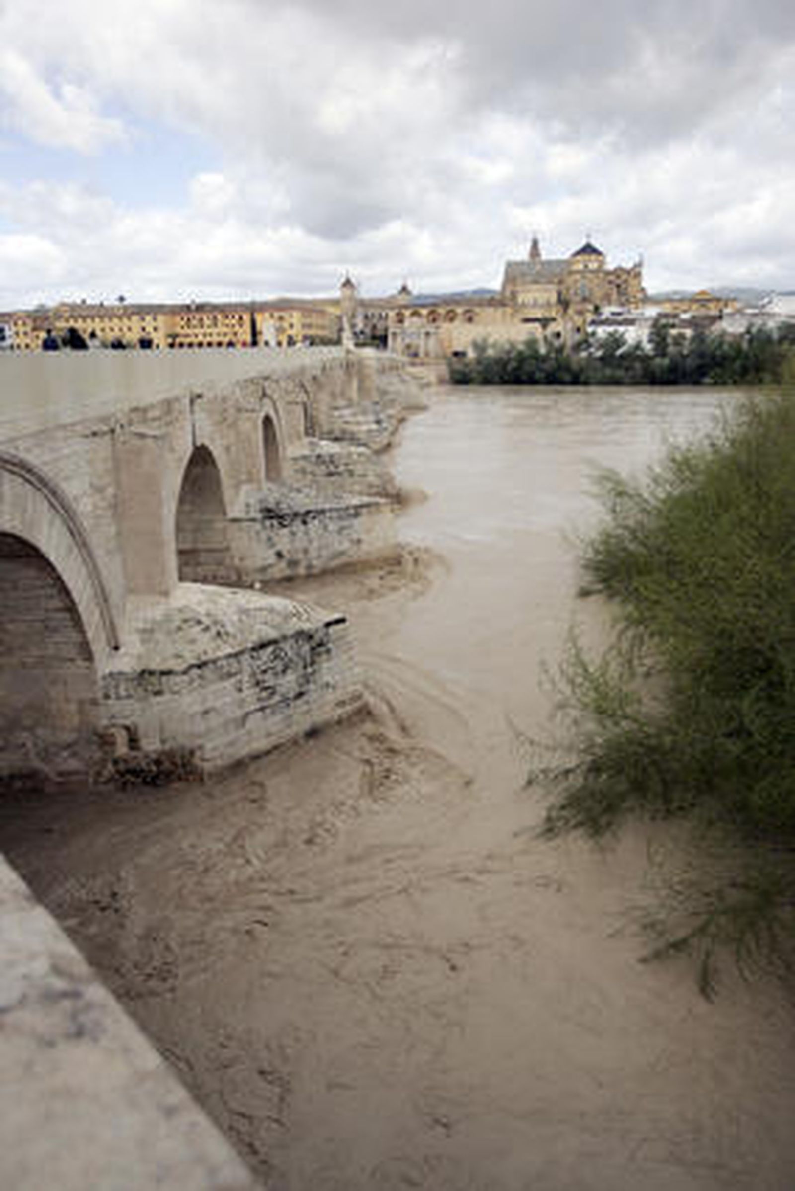 Foto: O. Barrionuevo