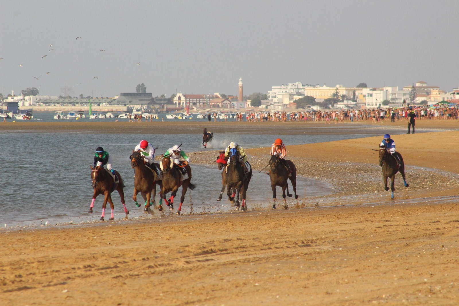 Imágenes de un día de Carreras de Caballos en Sanlúcar Imágenes de un día de Carreras de Caballos en Sanlúcar