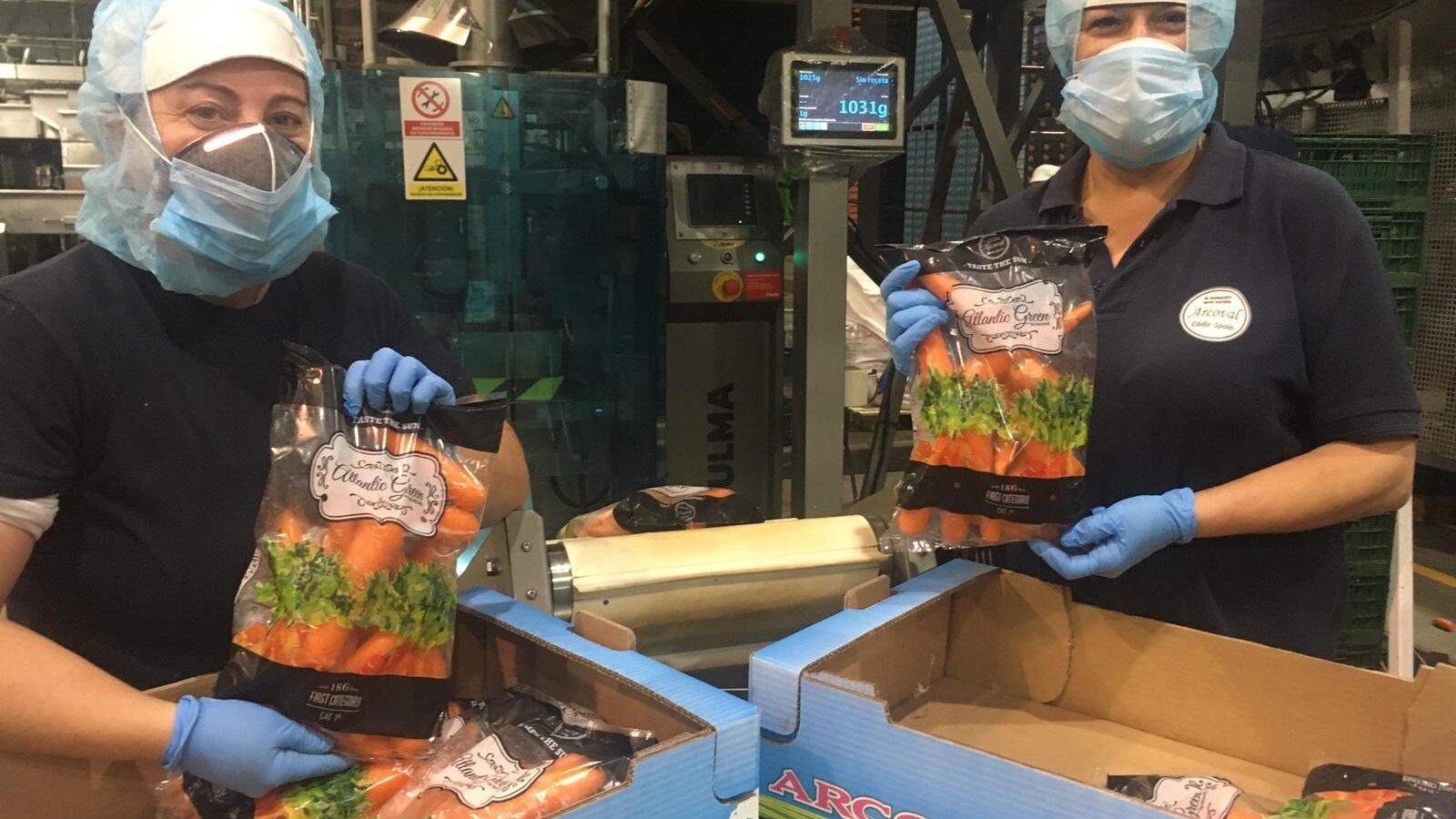 Unas trabajadoras de Arcoval, una de las grandes firmas de zanahoria.
