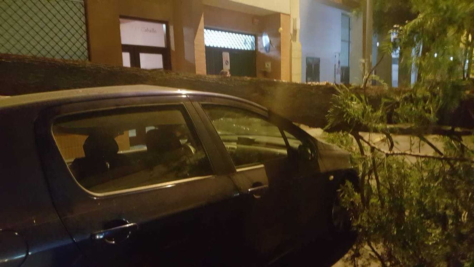 Otra imagen del coche accidentado