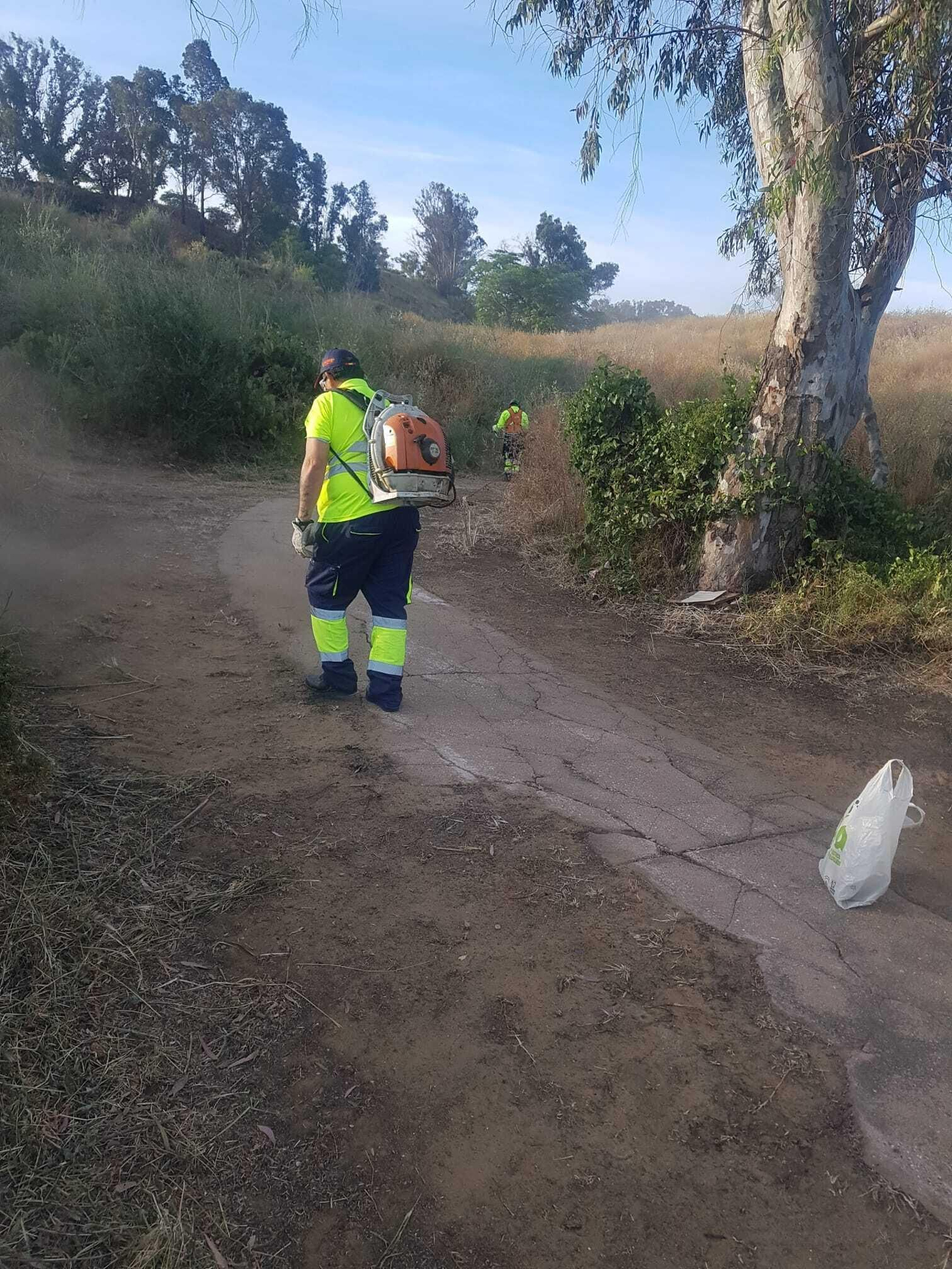 Un operario del Ayuntamiento de Huelva durante las labores de desbroce.