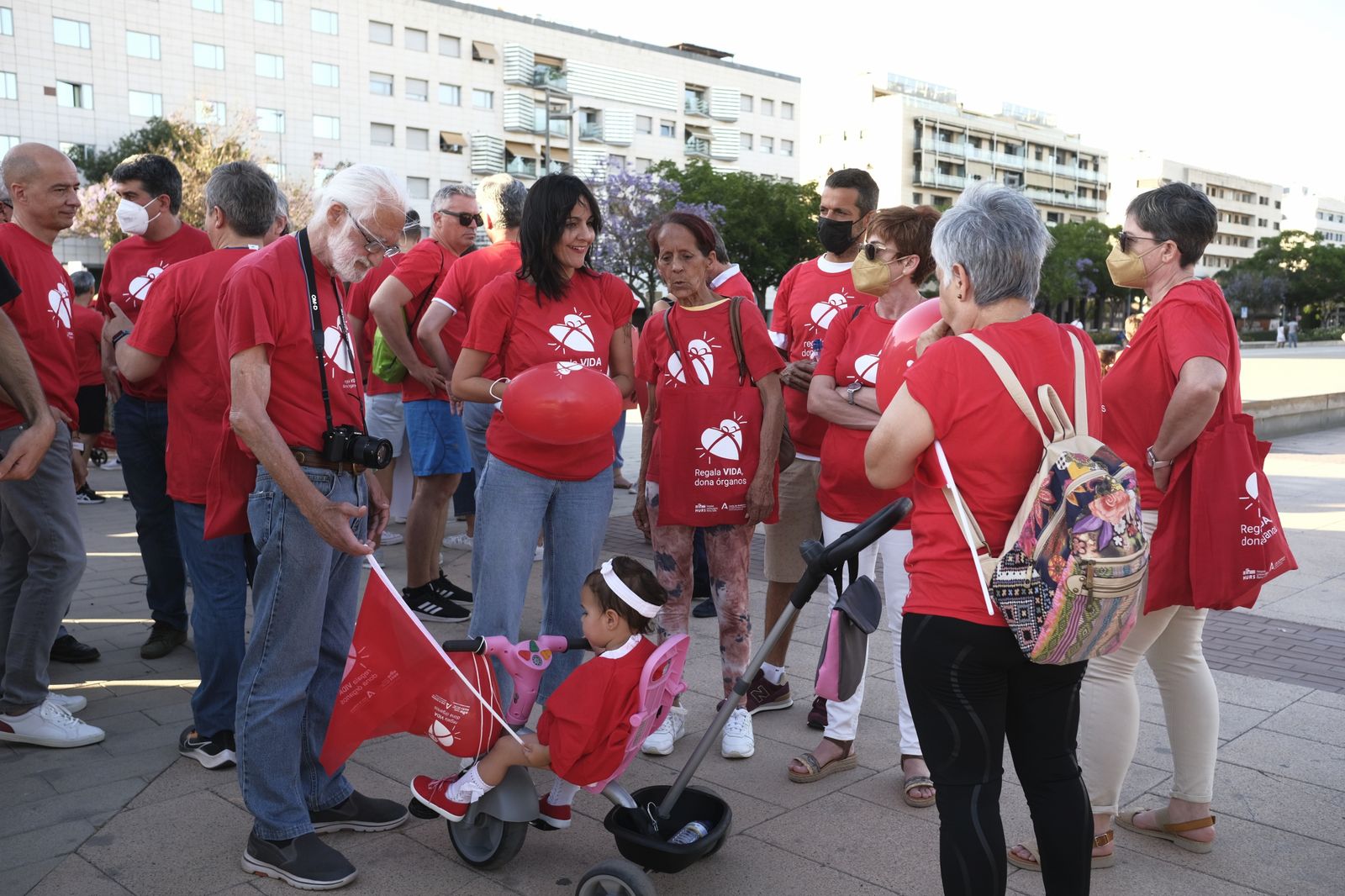 La Marcha por la Donación de Órganos de Córdoba, en imágenes
