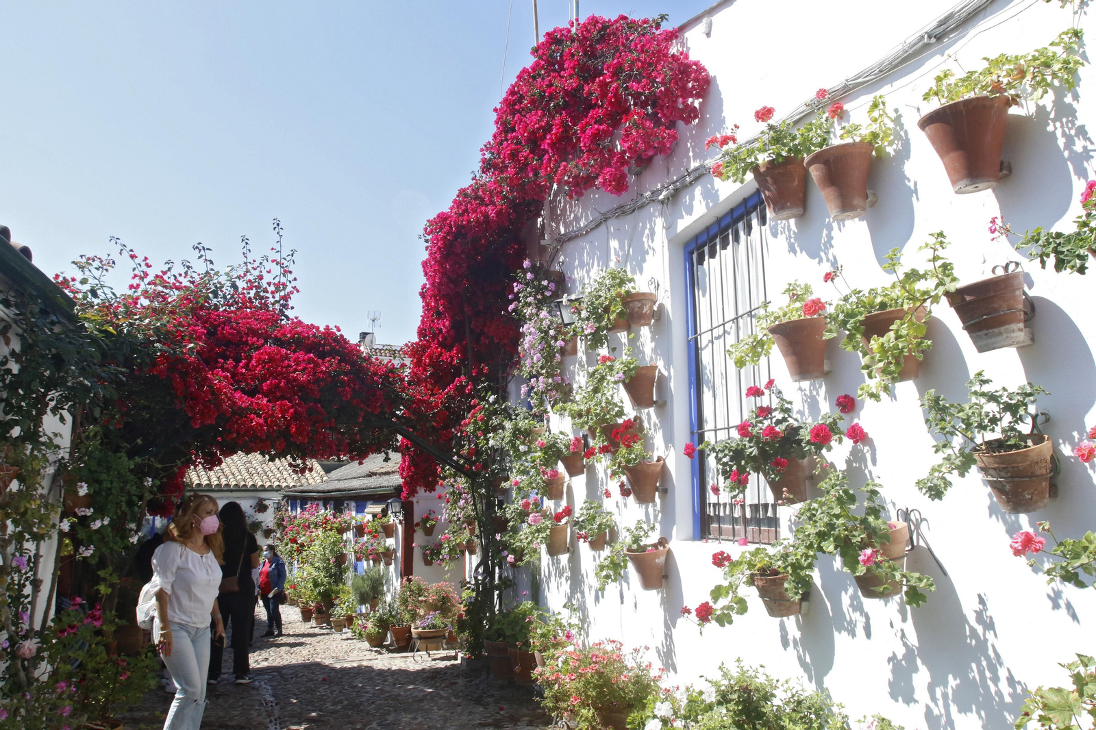 Ruta Santa Marina - San Agustín de los Patios de Córdoba, en imágenes