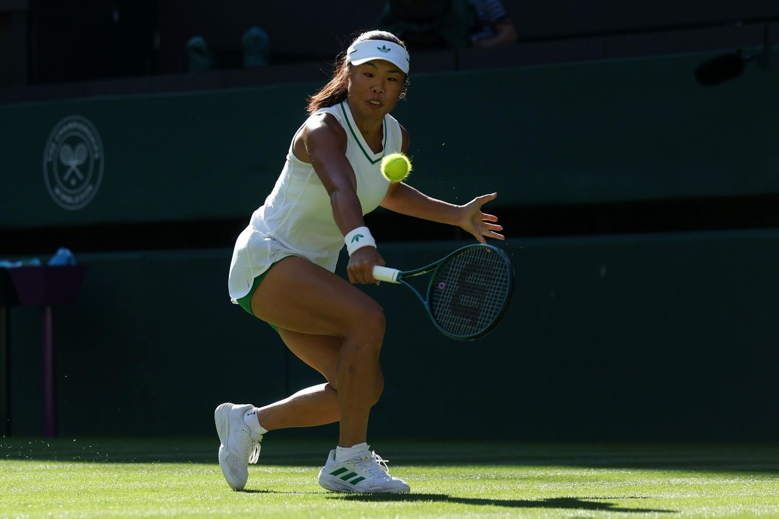 La primera jornada de Wimbledon (129).jpg