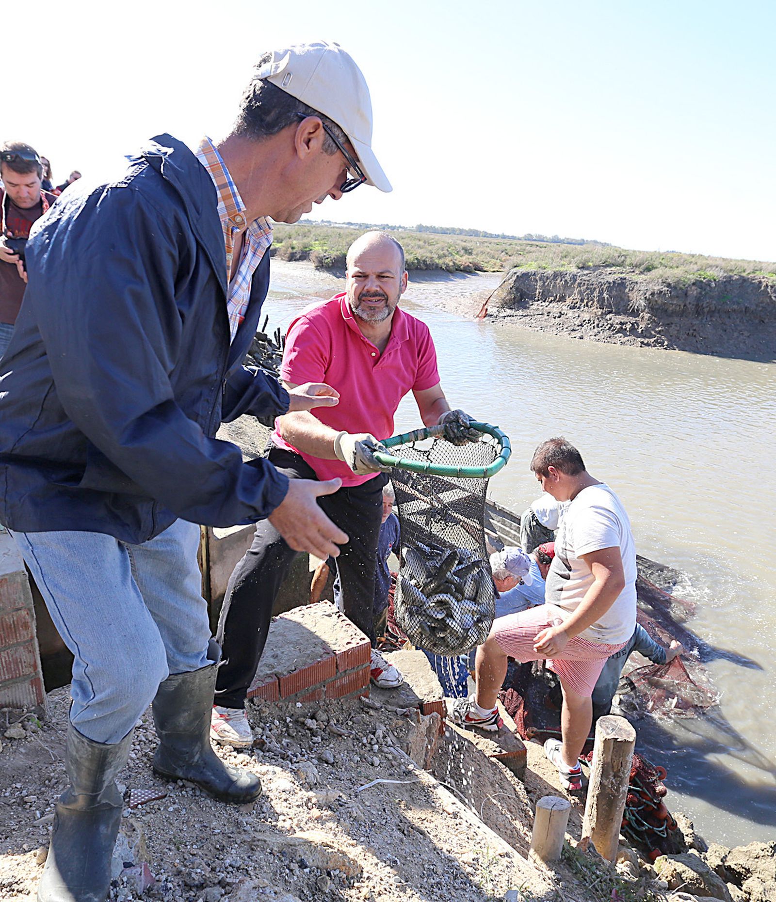 Despesque celebrado ayer en los esteros de Manguita.