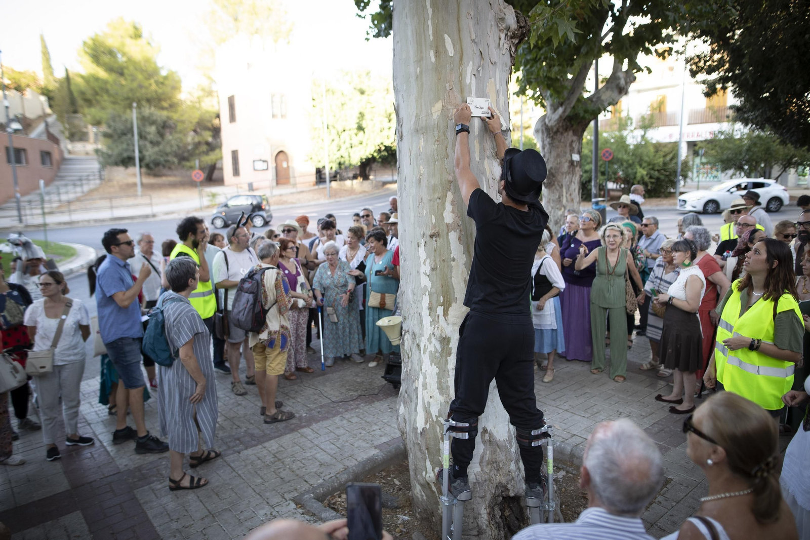 Vecinos de la Avenida de Cervantes de Granada amadrinan sus árboles para evitar la tala
