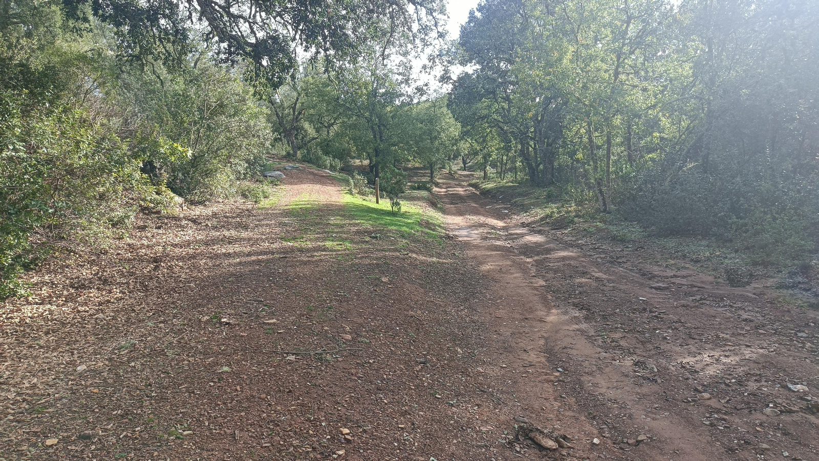 Tras la puerta, tomamos la bifurcación a la izquierda.