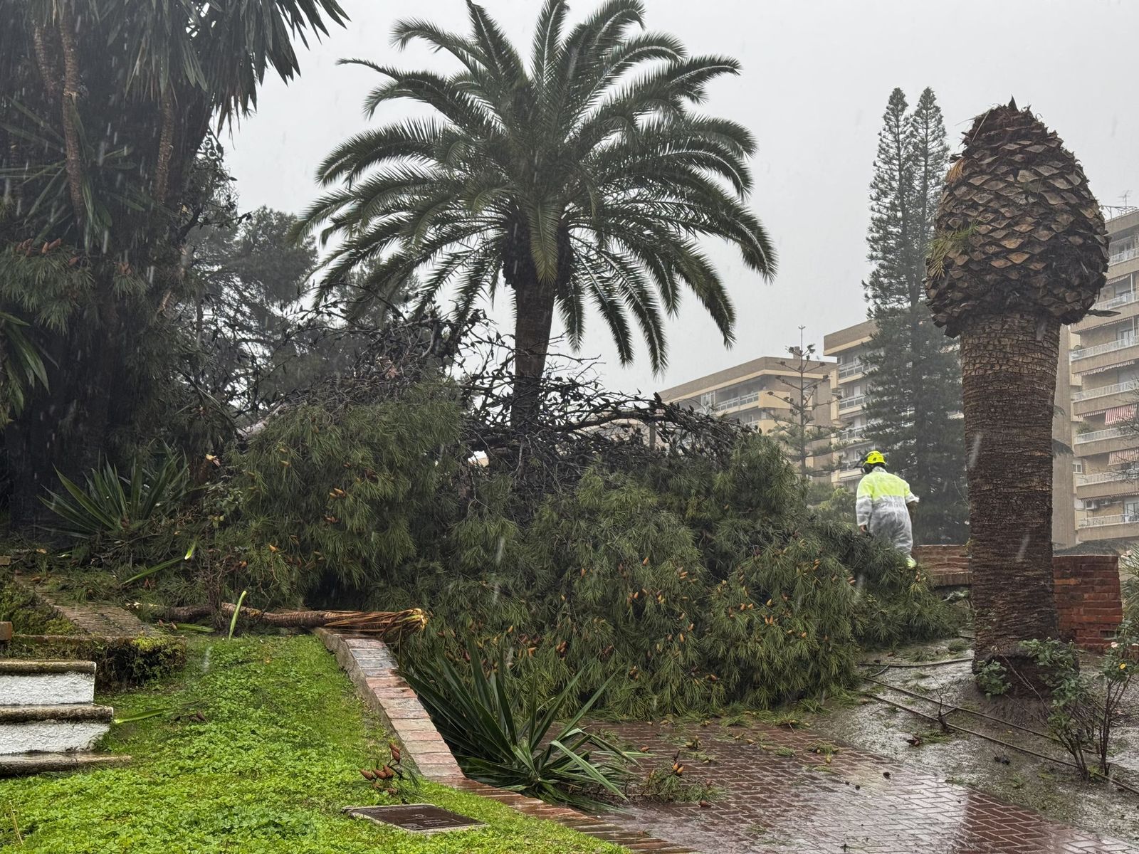 Un operario municipal evalúa la situación