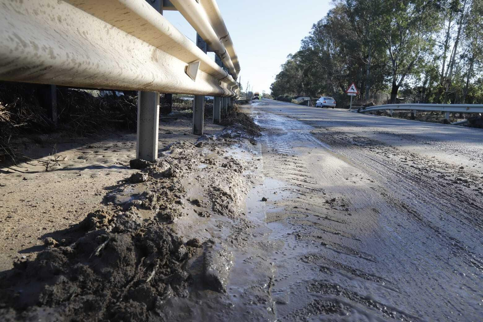Las imágenes de las grandes inundaciones en Los Palmares entre San Juan y Trigueros