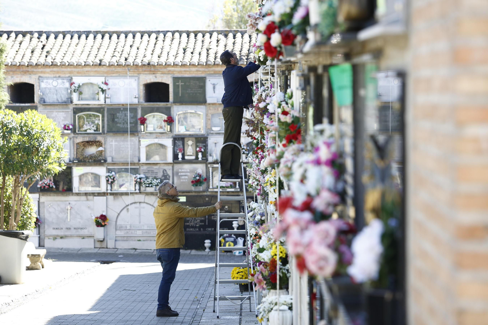 Las imágenes de Día de todos los santos en el cementerio