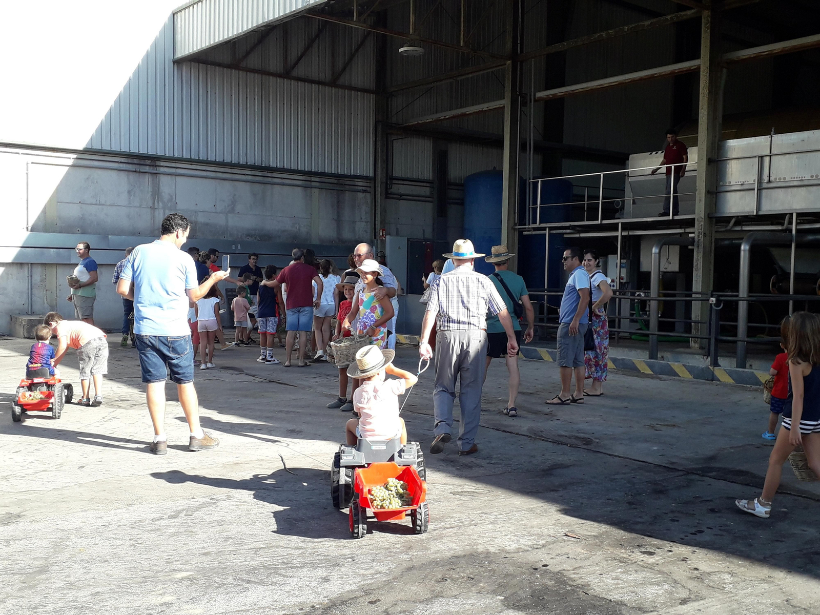 La primera vendimia infantil de Montilla, en imágenes