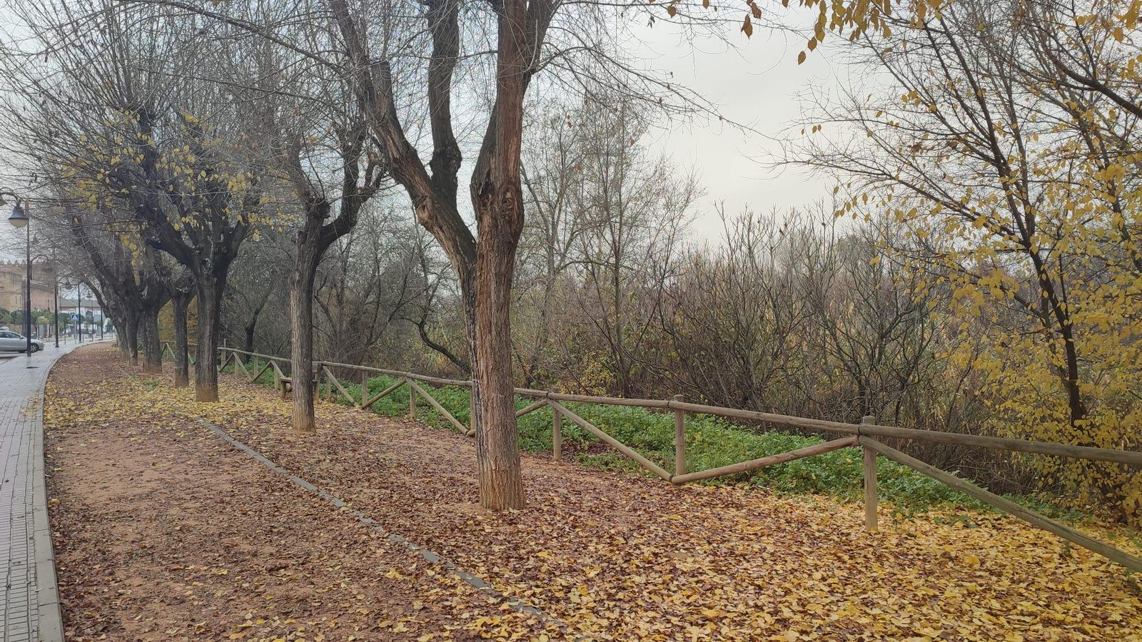 Paseo de la Ribera de Villa del Río.