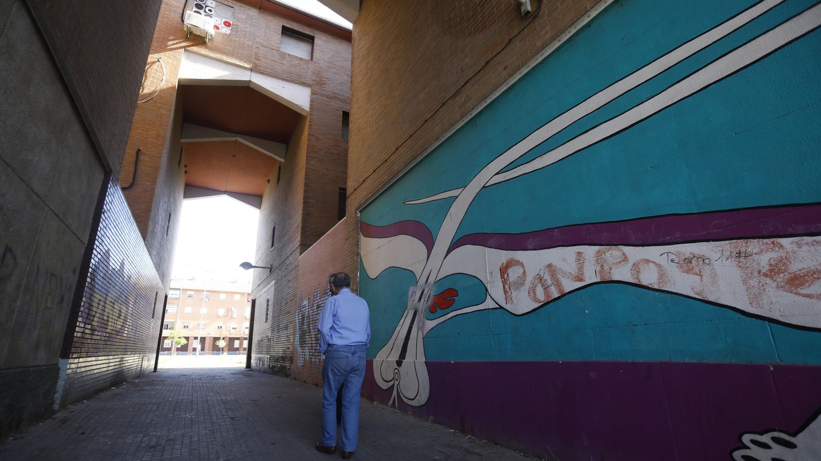 Un hombre avanza por un pasaje de Las Palmeras.