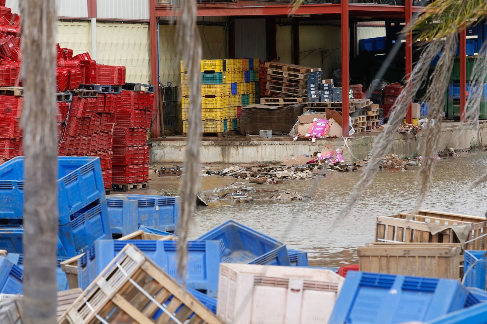 Fotos de las consecuencias de la borrasca Francis en Tesorillo y Jimena