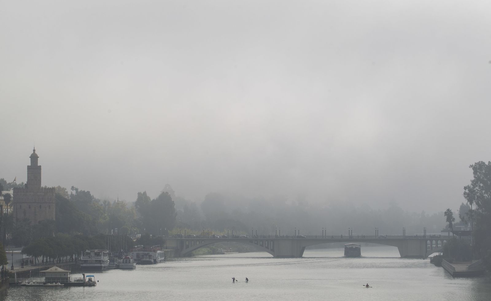 Mañana con niebla en Sevilla