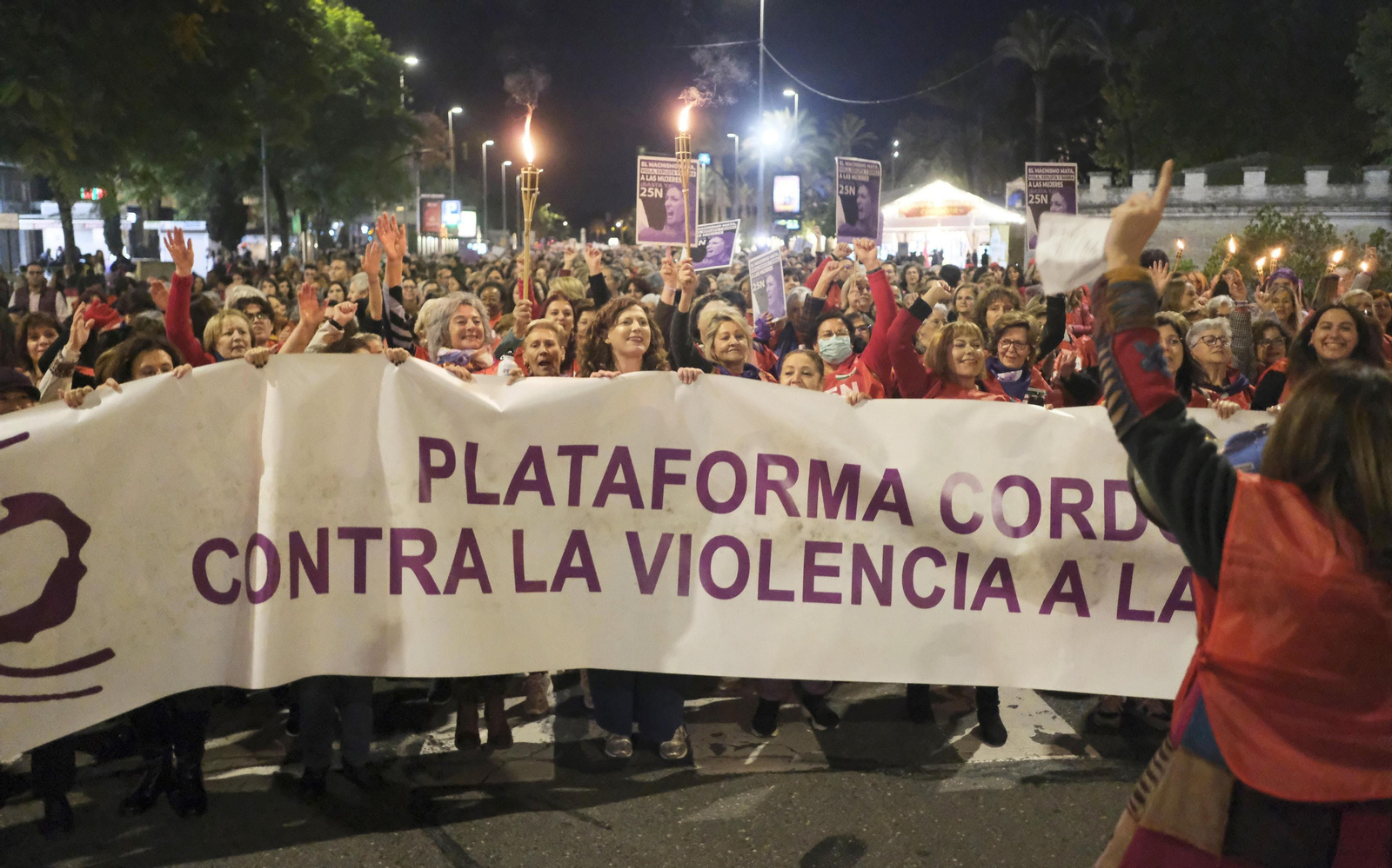 La manifestación en Córdoba contra la violencia de género, en fotografías