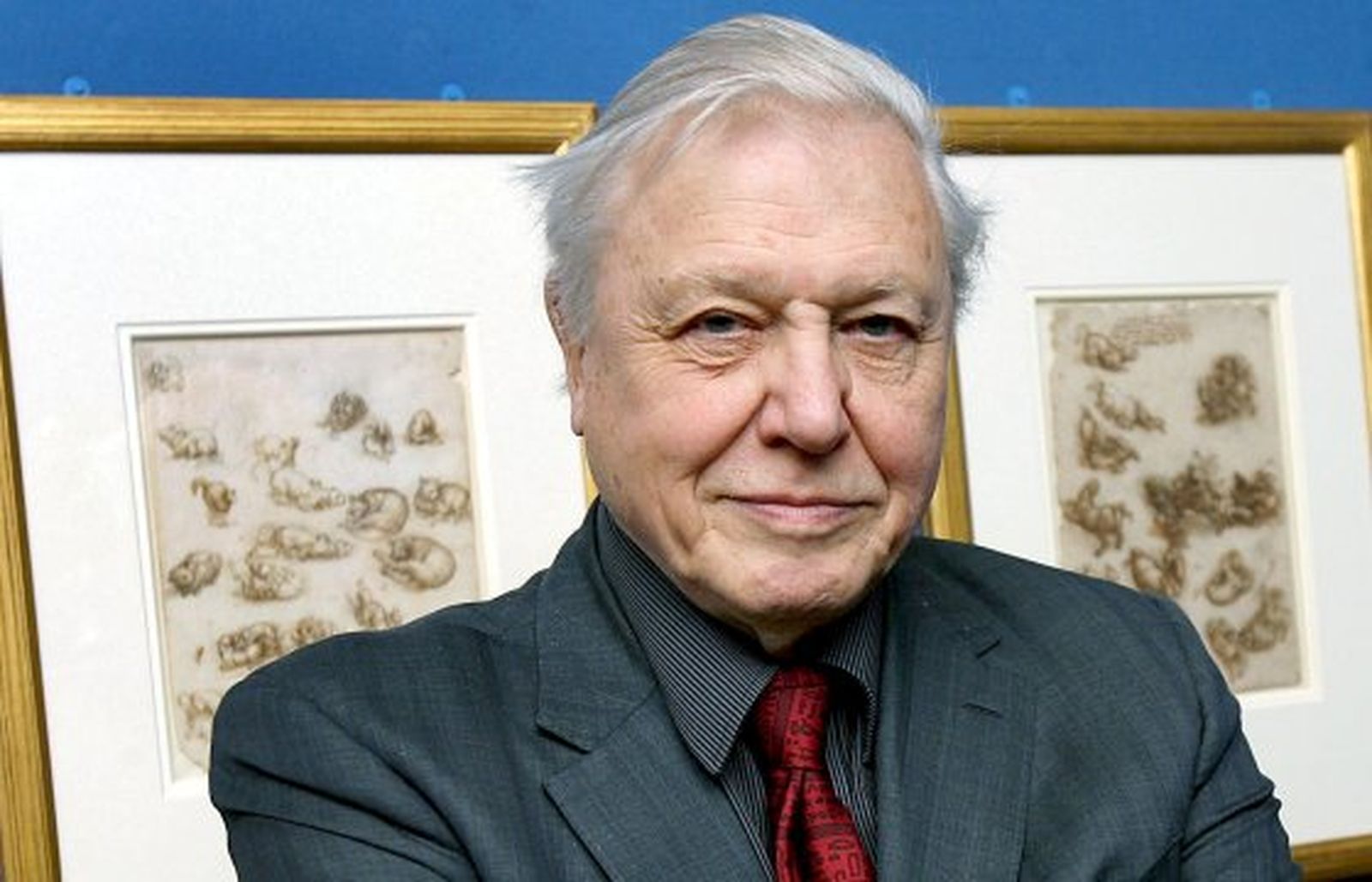 David Attenborough logra el Príncipe de Asturias de Ciencias Sociales
