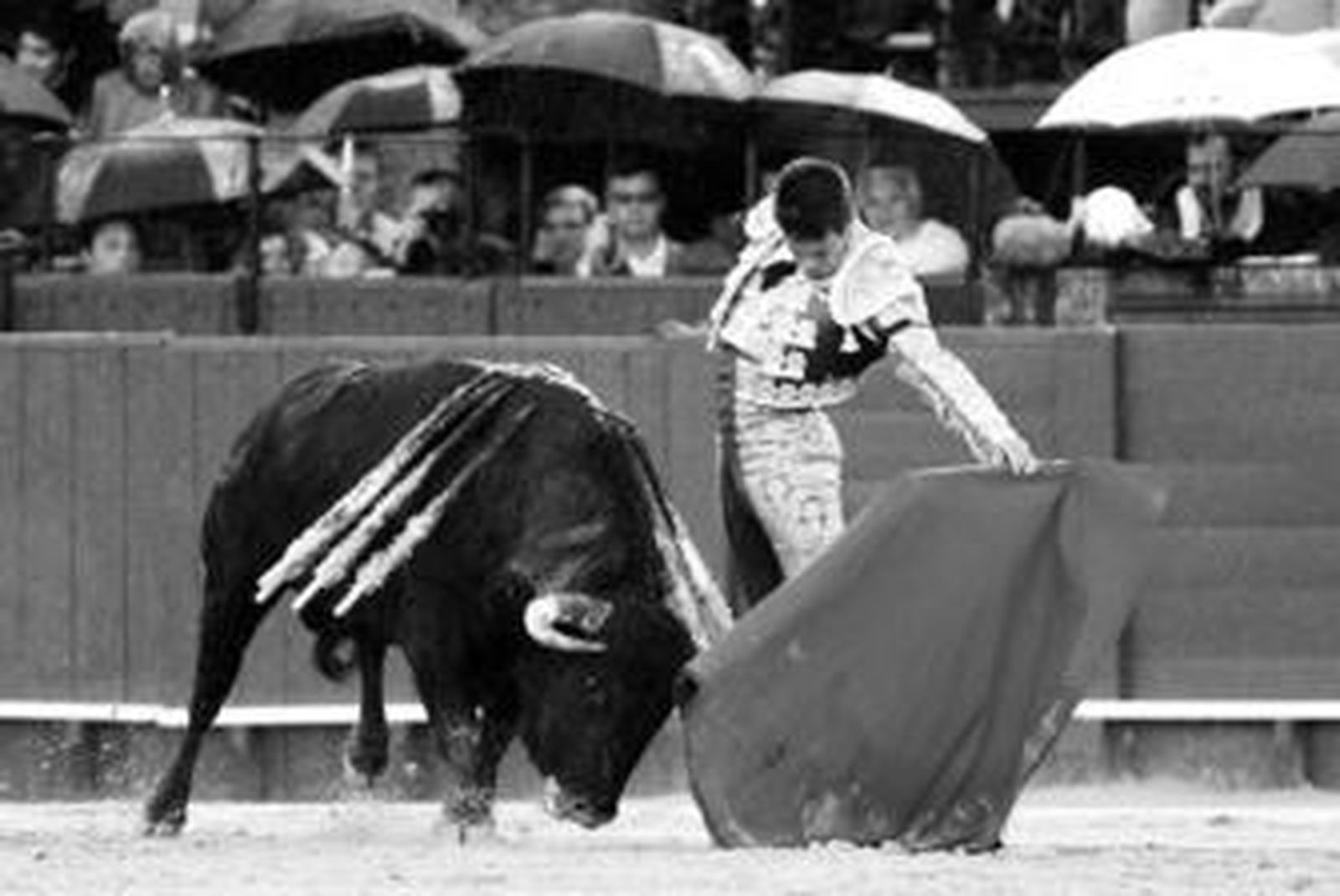 Manzanares, al natural, en su faena del 7 de abril de 2009 a un toro de Juan Pedro Domecq.