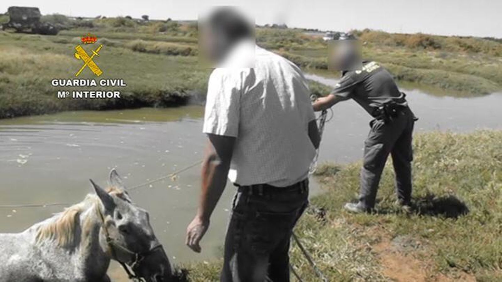 Trabajos para el rescate del animal atrapado en un caño del Piedras en el paraje El Molino, de Lepe.