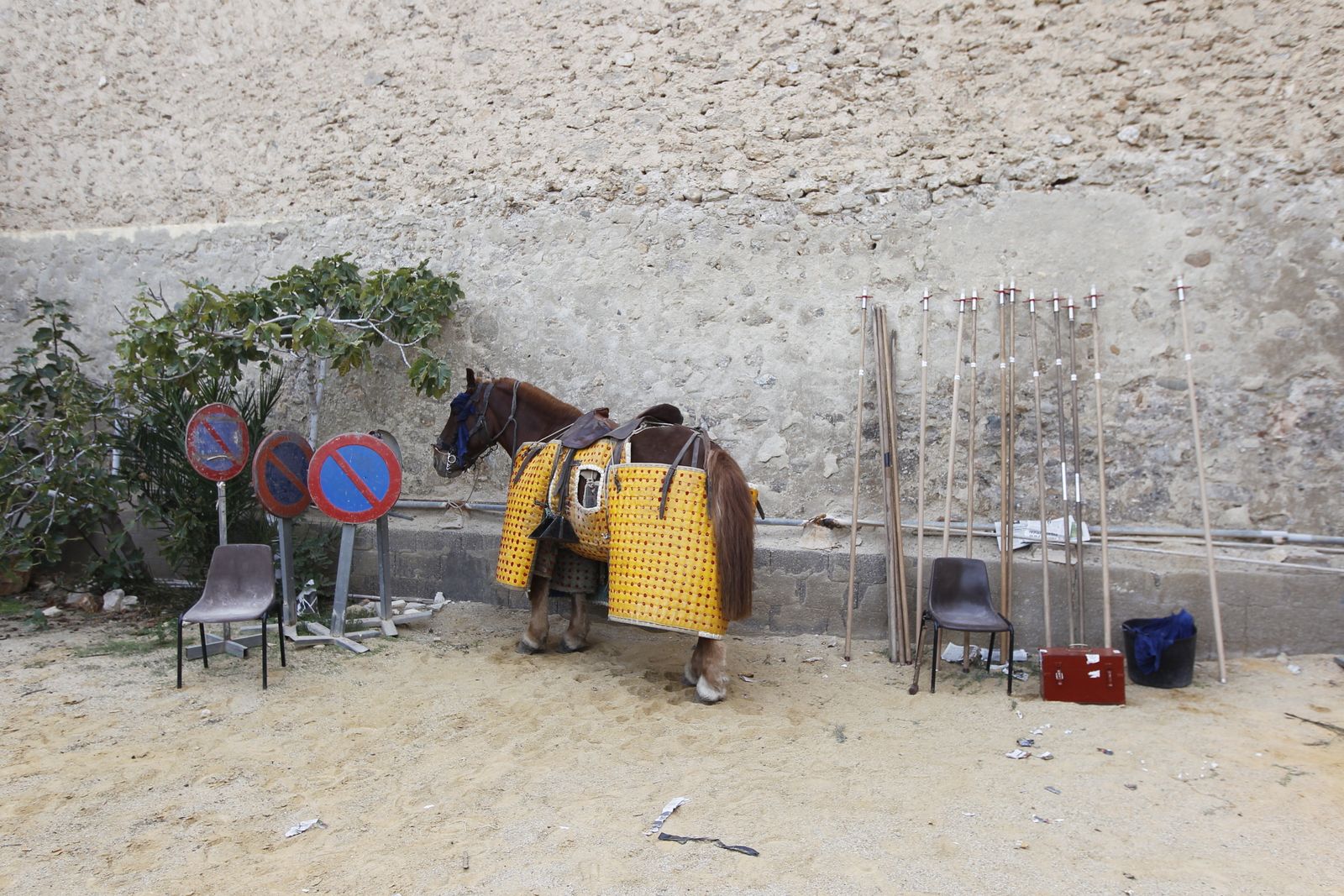 Fotogalería corrida de toros. Fiestas de Vera