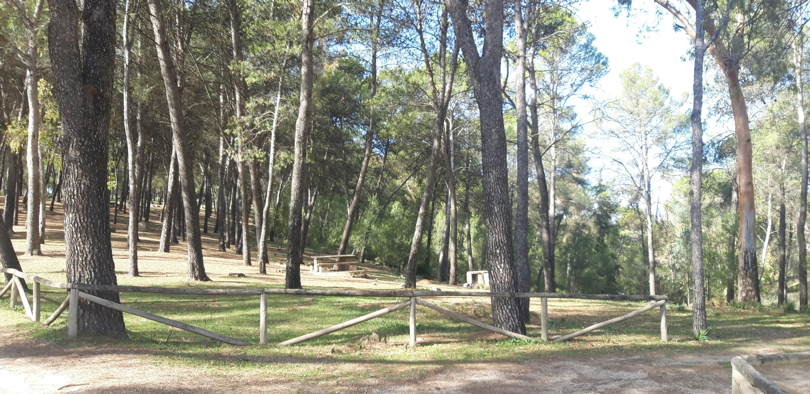 Las fotos de la ruta del castillo de Cote, en Montellano