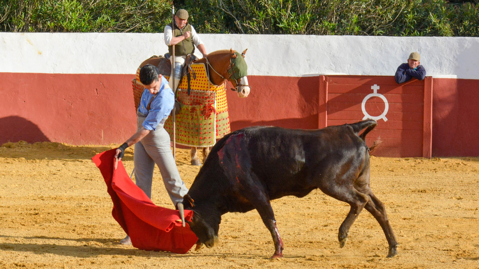 Tentadero con Talavante en la finca La Palmosilla
