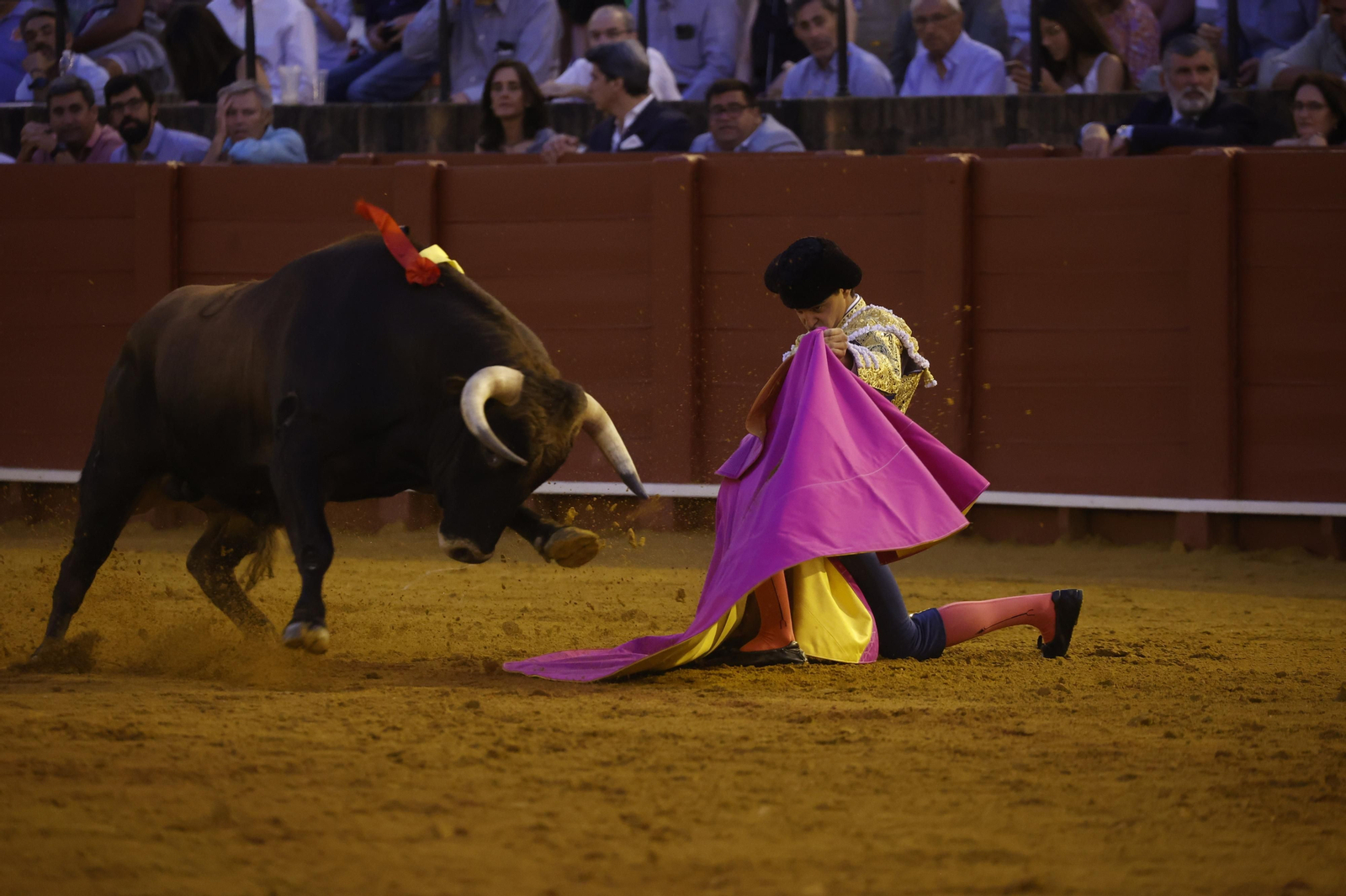 Las imágenes de la novillada en la Maestranza