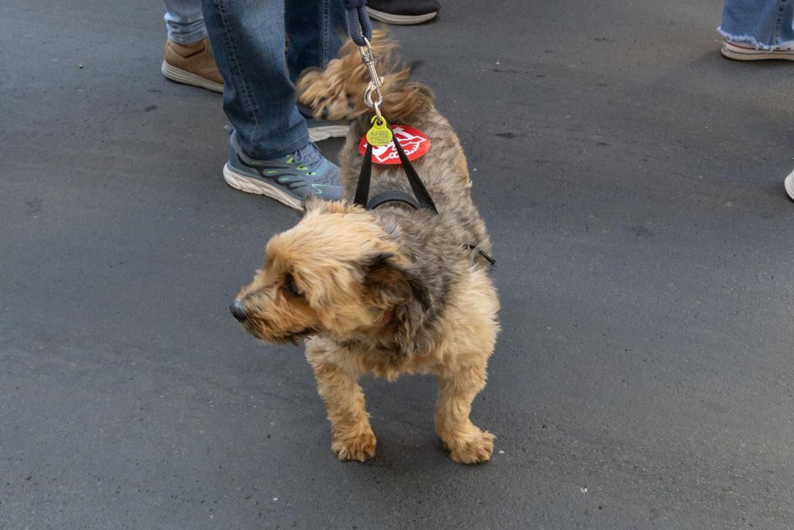 Manifestación convocada por el 1º de Mayo