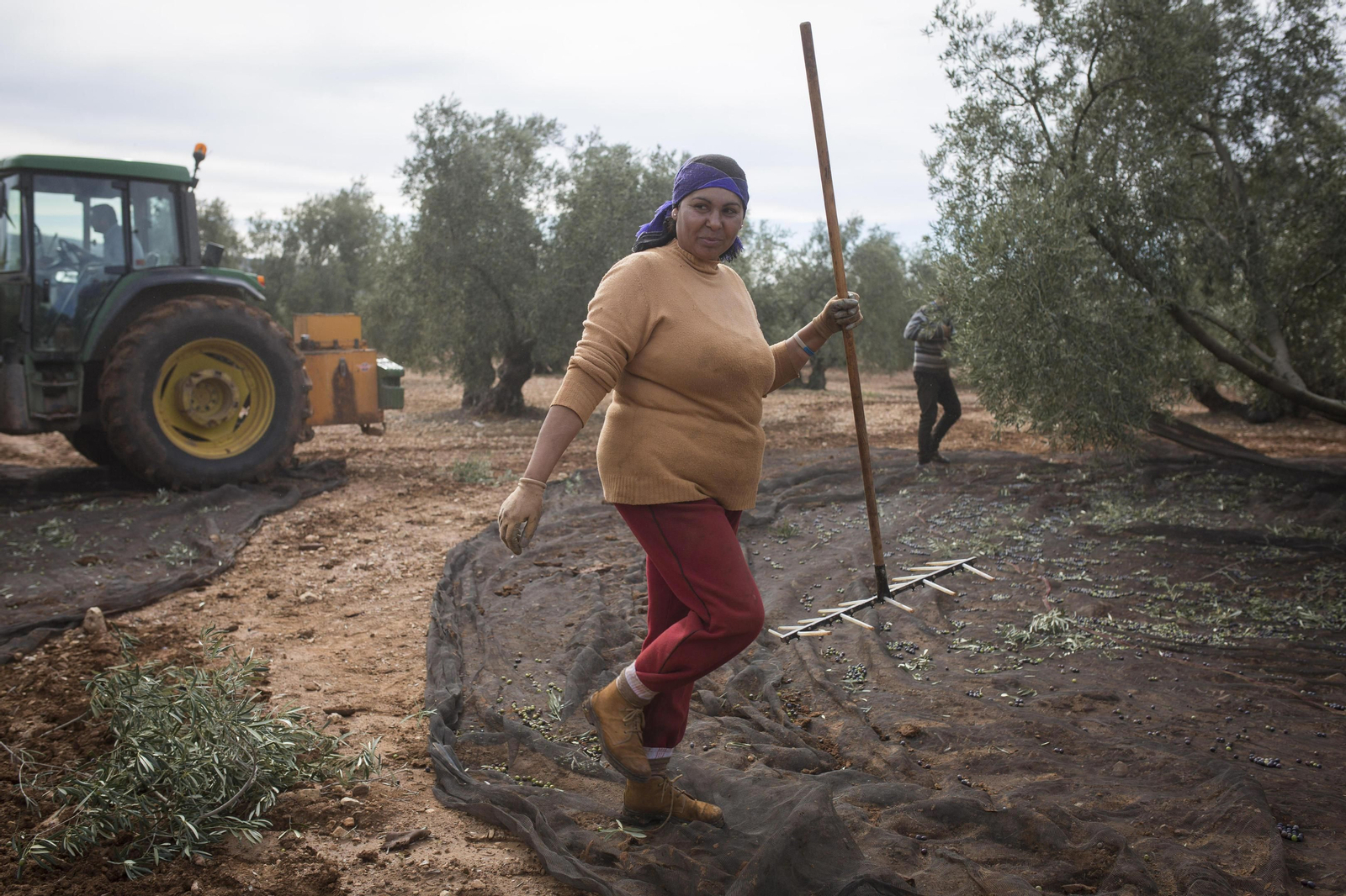 Dudea Laura, rumana, rastrillo en mano en un olivar de la carretera entre Pedrera y el Martín de la Jara.