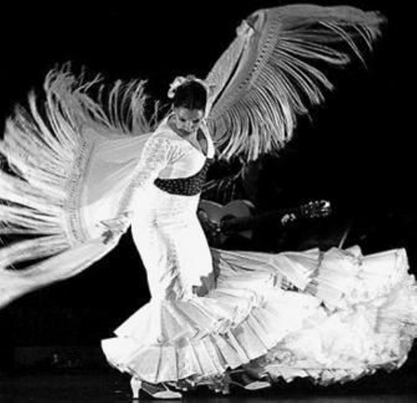 El congreso premiará la trayectoria de la malagueña Luisa Palicio.