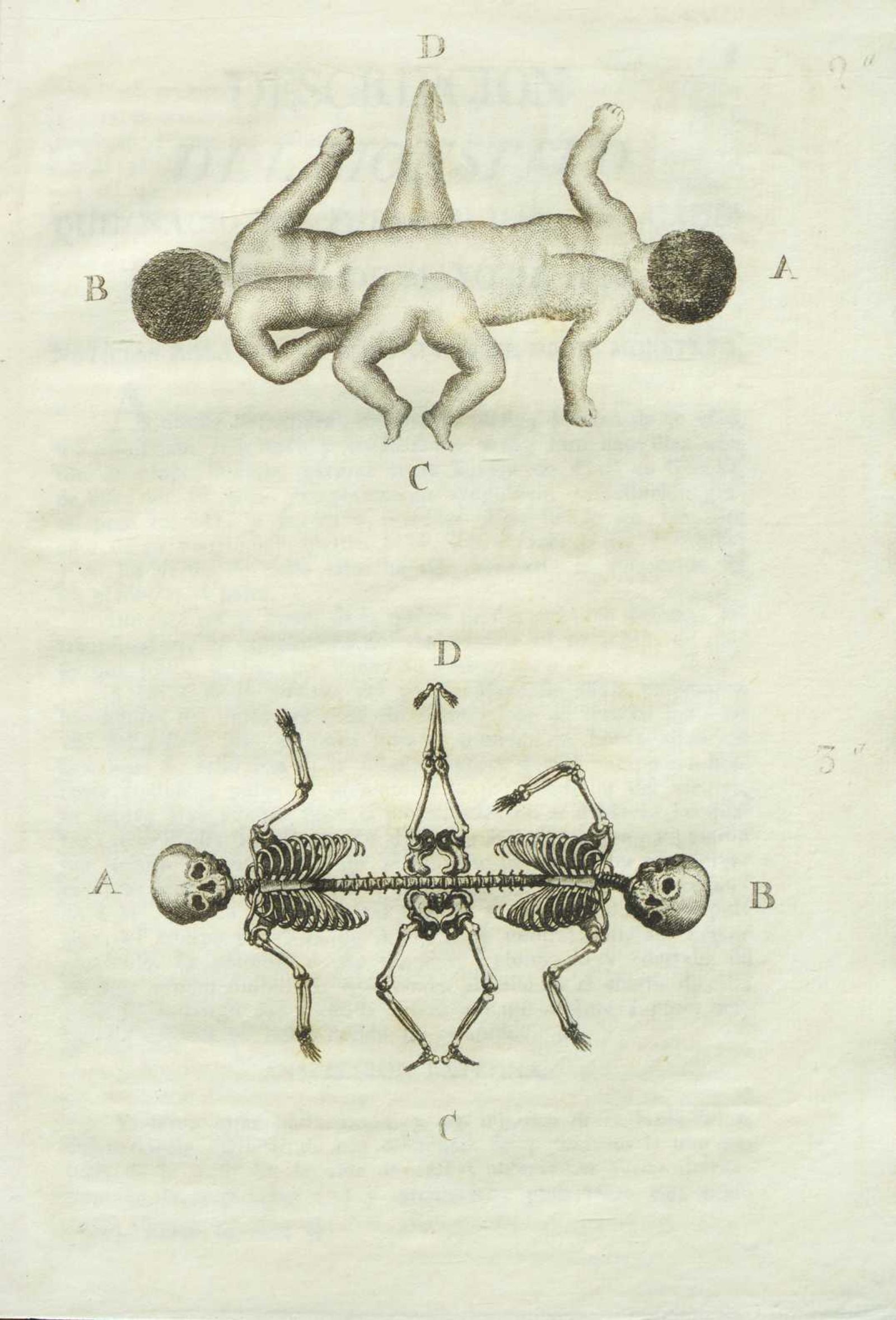Exposición histórica del monstruo. 1818. Biblioteca de la Universidad de Cádiz.