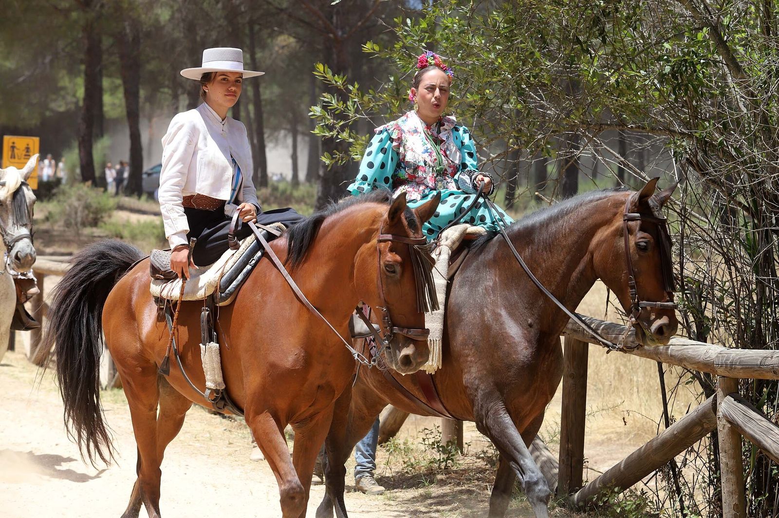 Todos los peregrinos de la Hermandad de Huelva, en imágenes