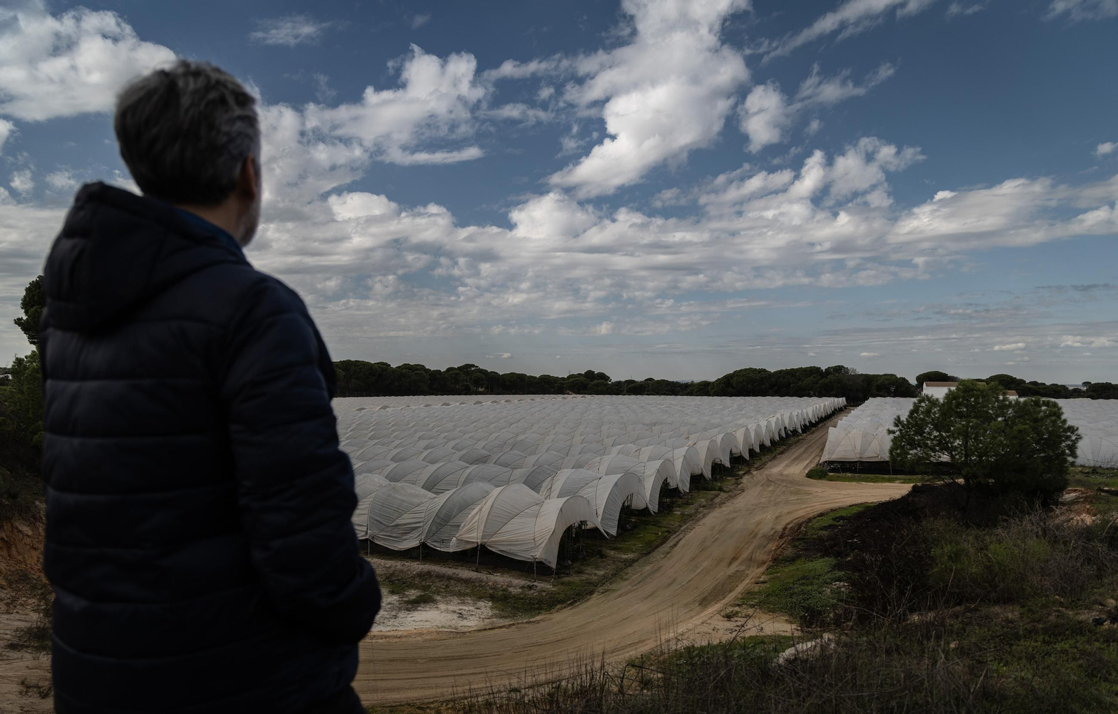 Las fotos de los cultivos en Doñana después del acuerdo sobre la regulación de regadios