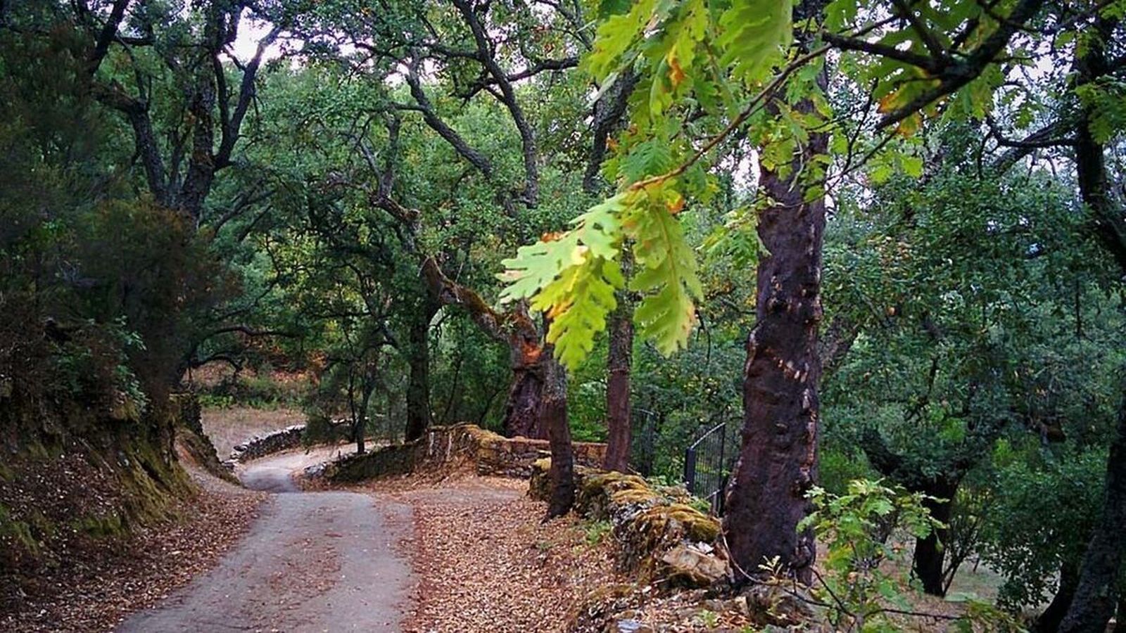 Planes para una escapada de fin de semana a la provincia de Huelva
