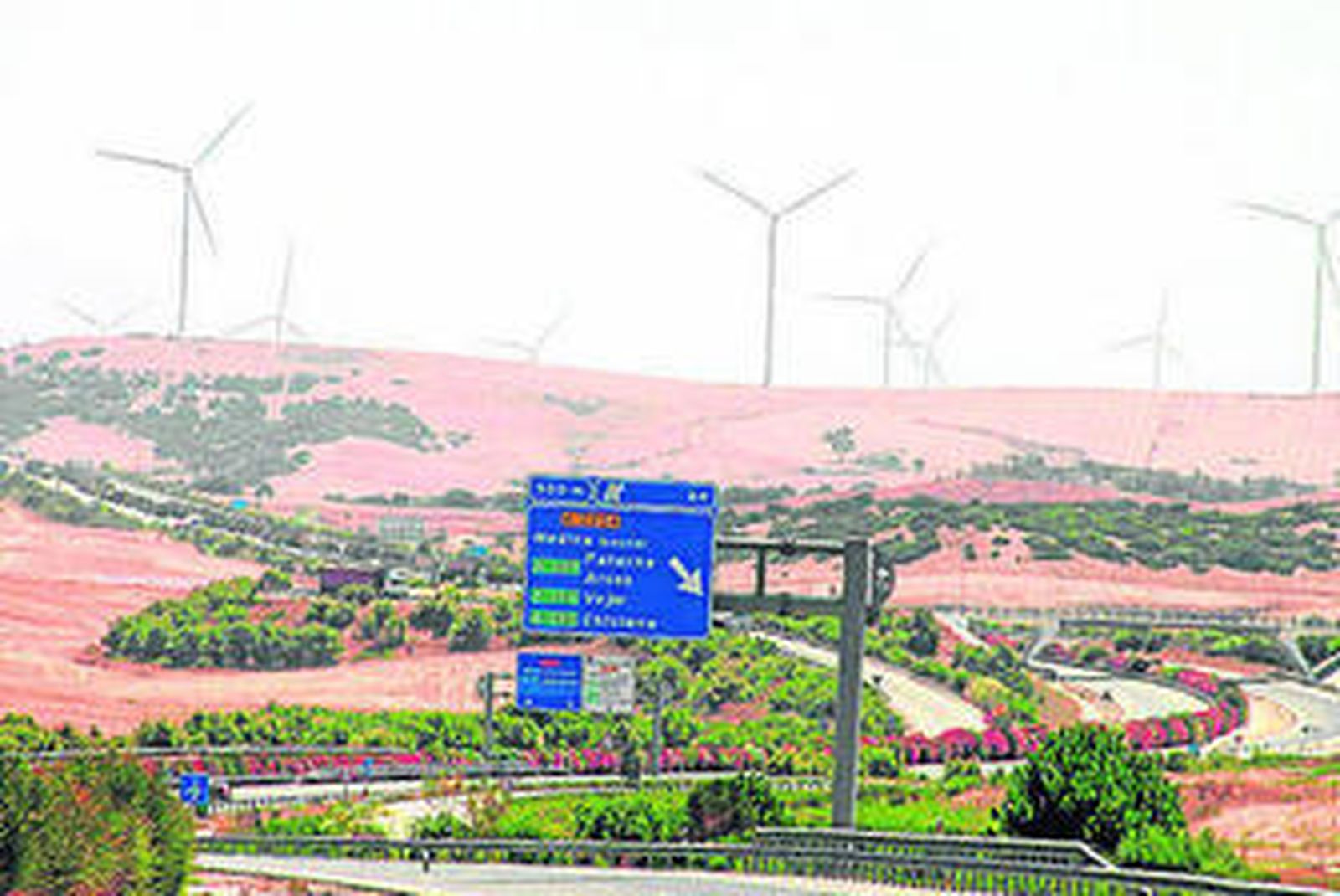 El término municipal de Medina Sidonia acoge varios parques eólicos.