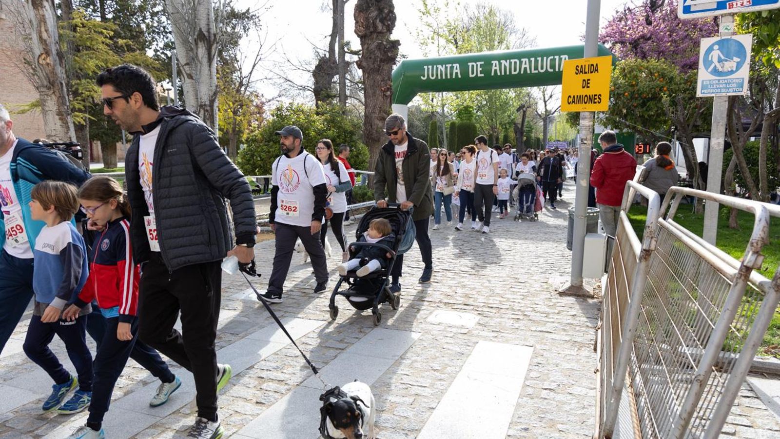 Más de 2.100 participantes corren para promover la salud en Jaén, en imágenes (1)