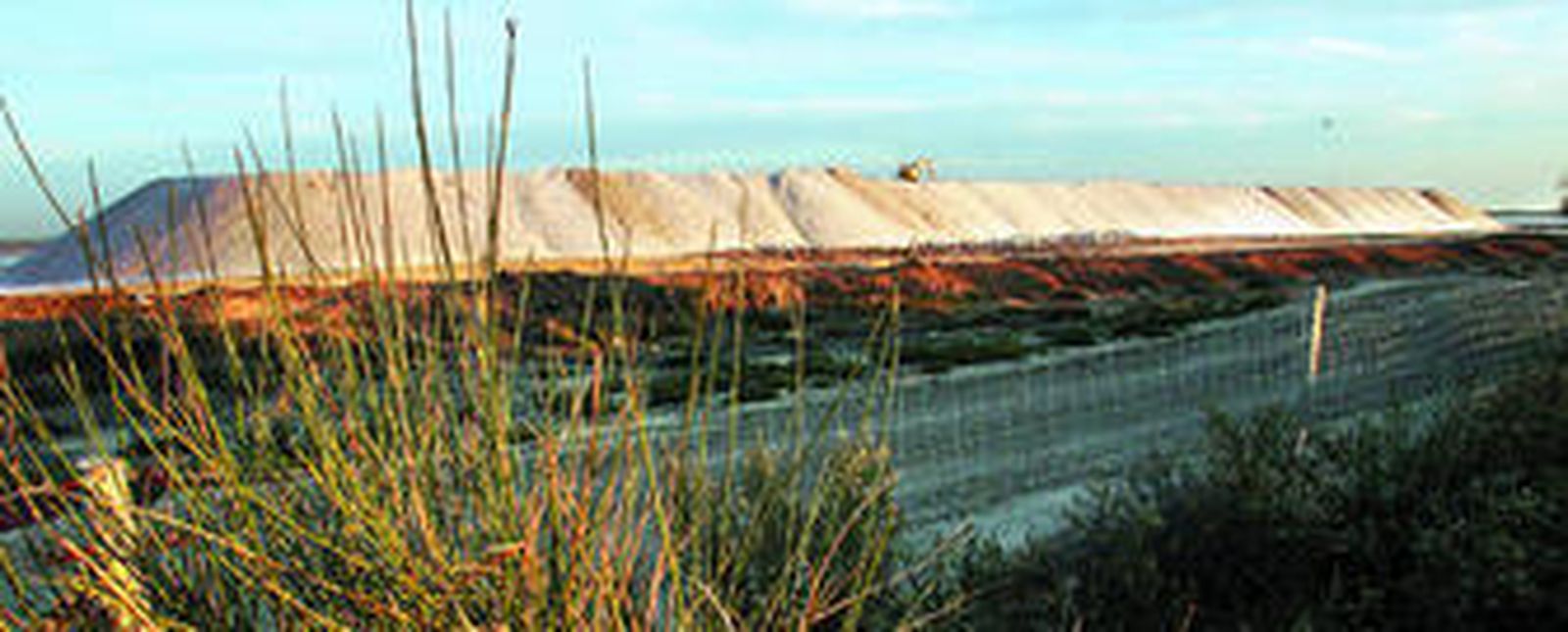 Junto a estas salinas, en El Portal, se construirán invernaderos para microalgas en una parcela inicial de 100 hectáreas.
