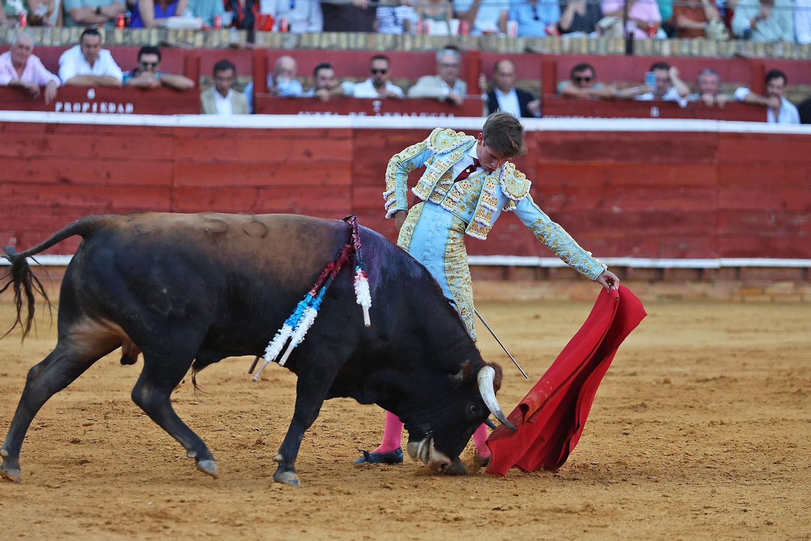 Toros La Merced 2024 Novillada con picadores(