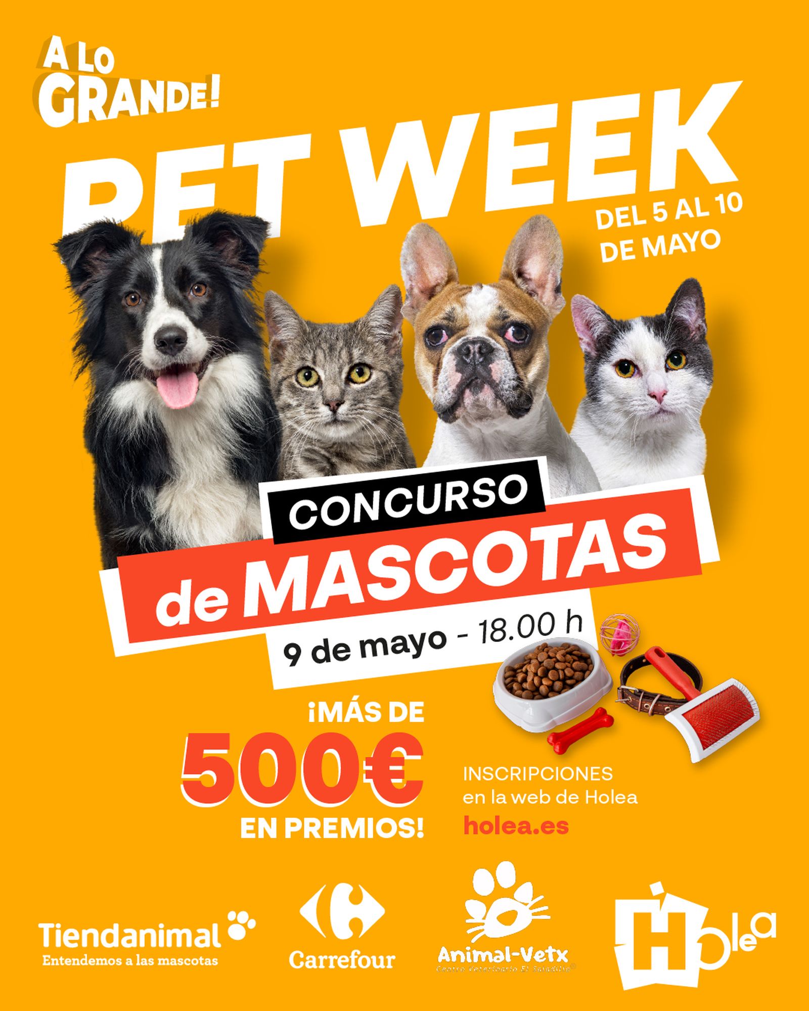 Cartel informativo de la Pet Week de Holea.