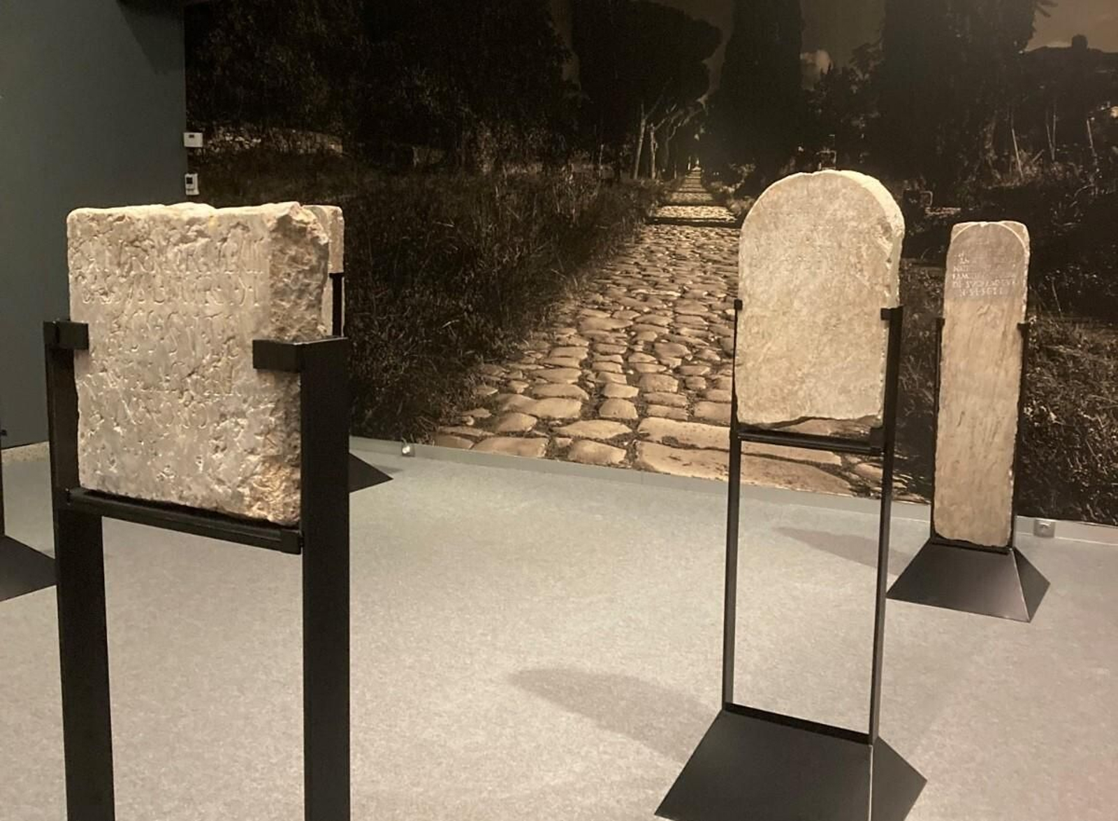 Muestra en el Museo de la Evolución Humana de Burgos.