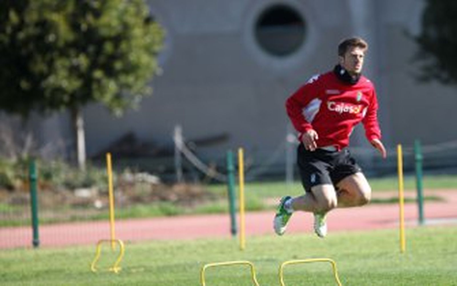 La defensa, en cuadro