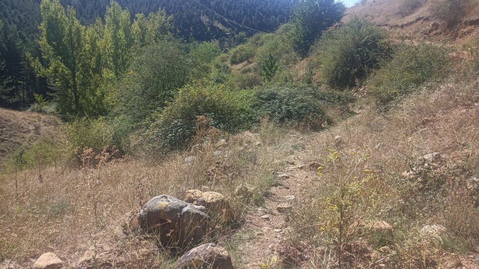 El tramo de bajada final es lo peor. La trocha se pierde muchas veces.