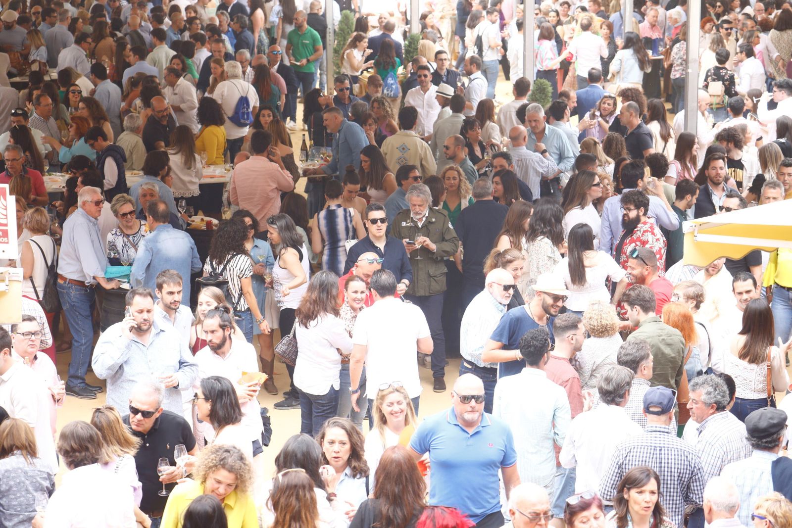 El viernes en la Cata del Vino de Córdoba, en imágenes