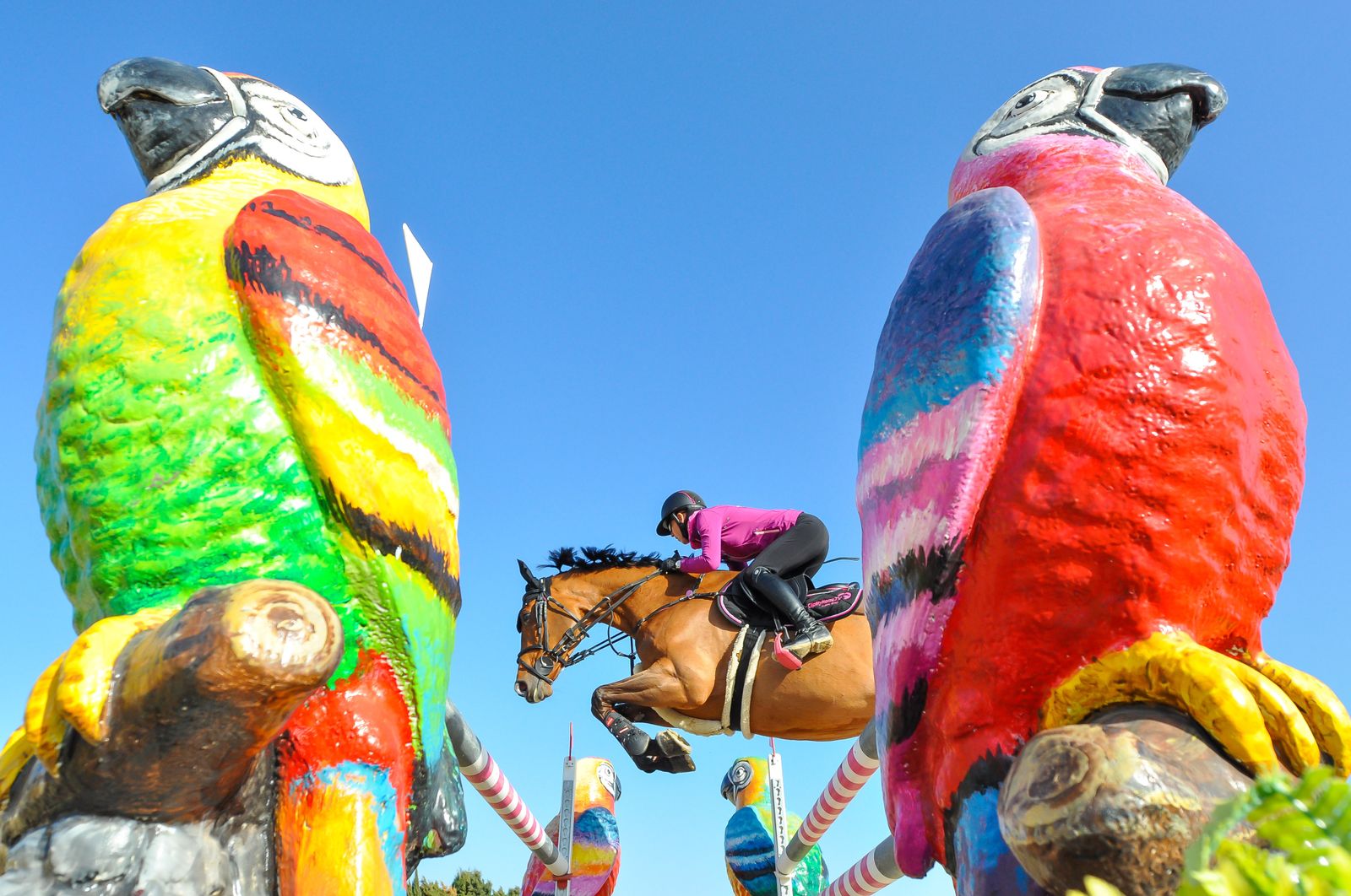 La austriaca Bianca Babanitz en plena competición
