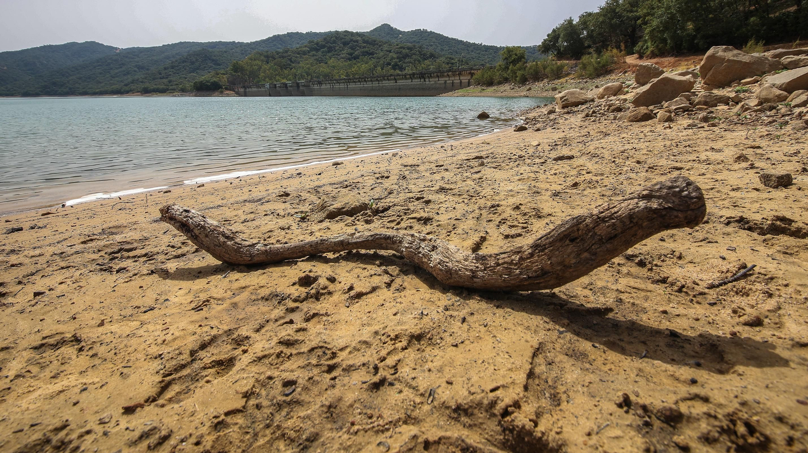 Así se encuentran algunos embalses de la provincia