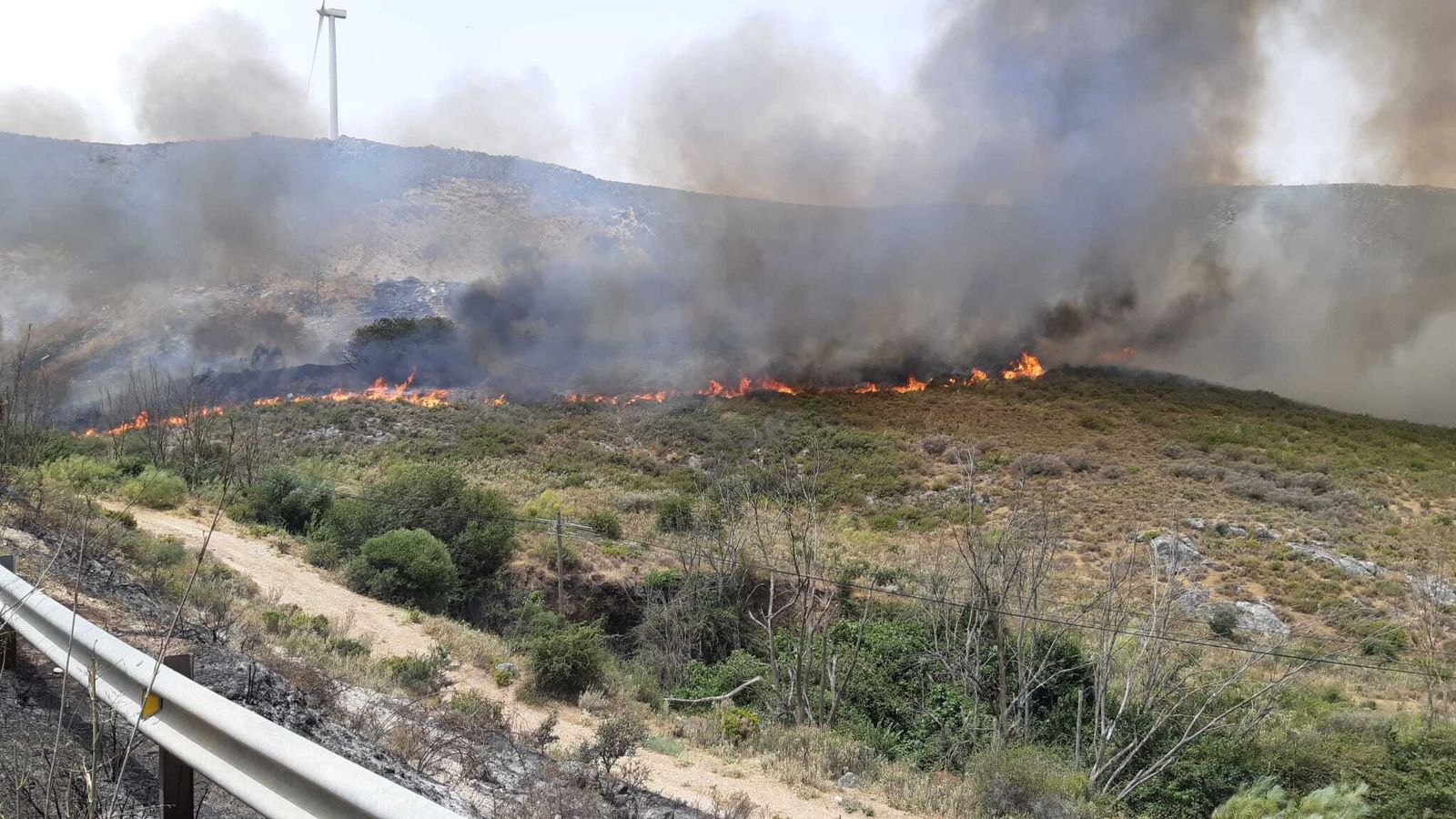 Un incendio forestal afecta a Cañete La Real