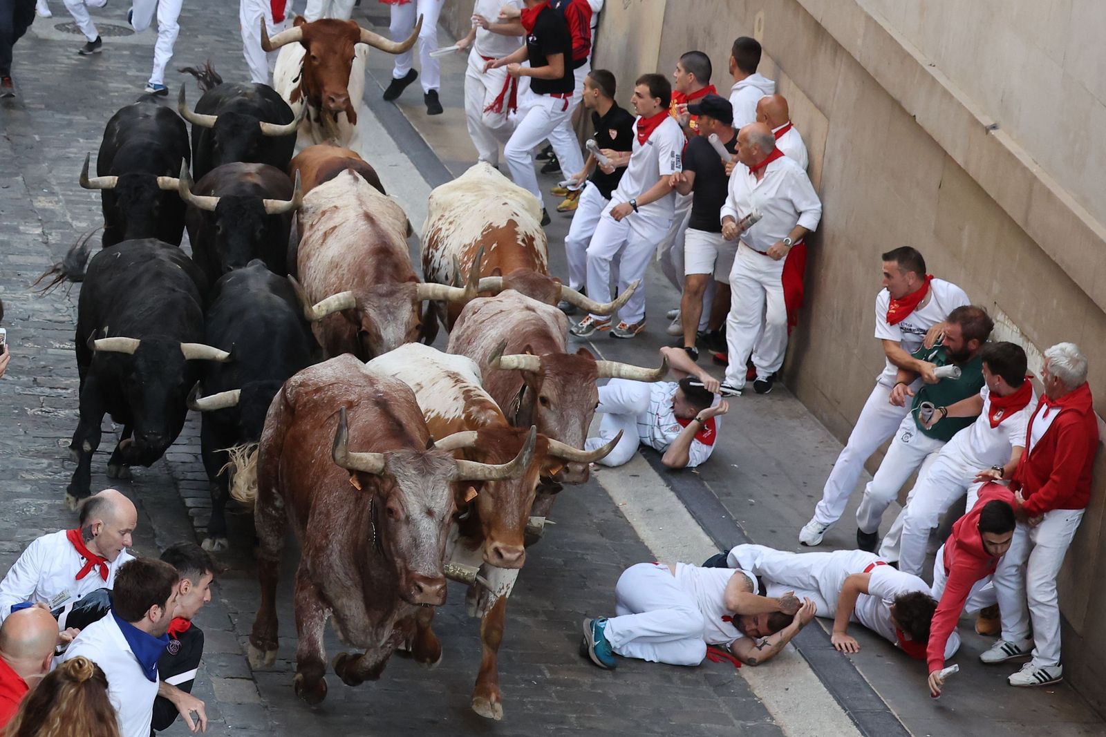 Las imágenes de los toros de Jandilla en los sanfermines
