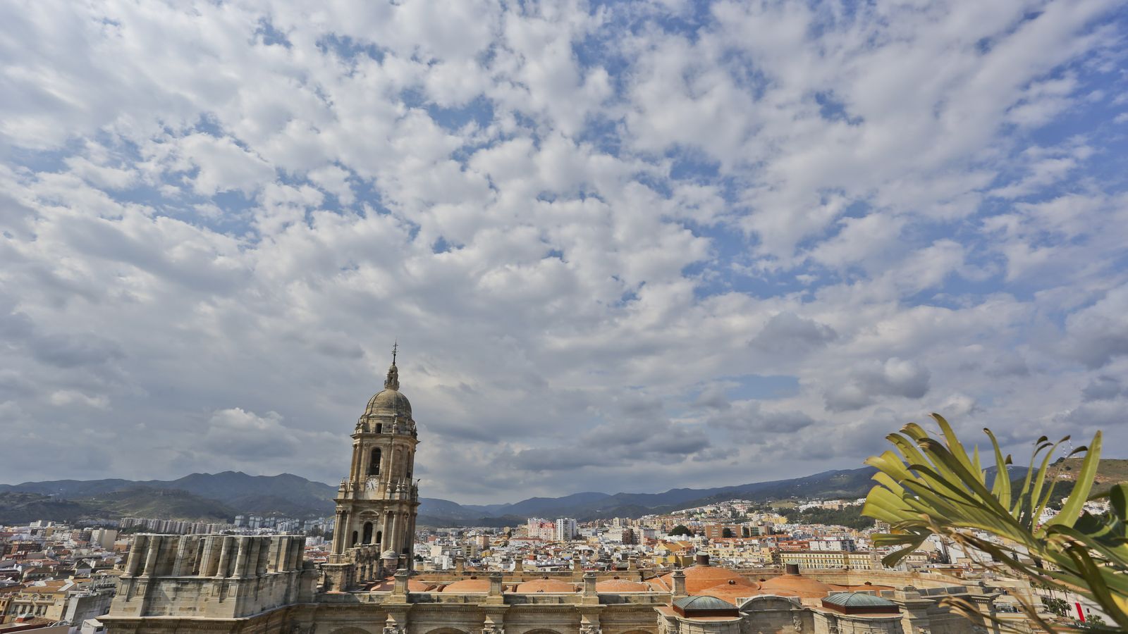 La Catedral de Málaga.