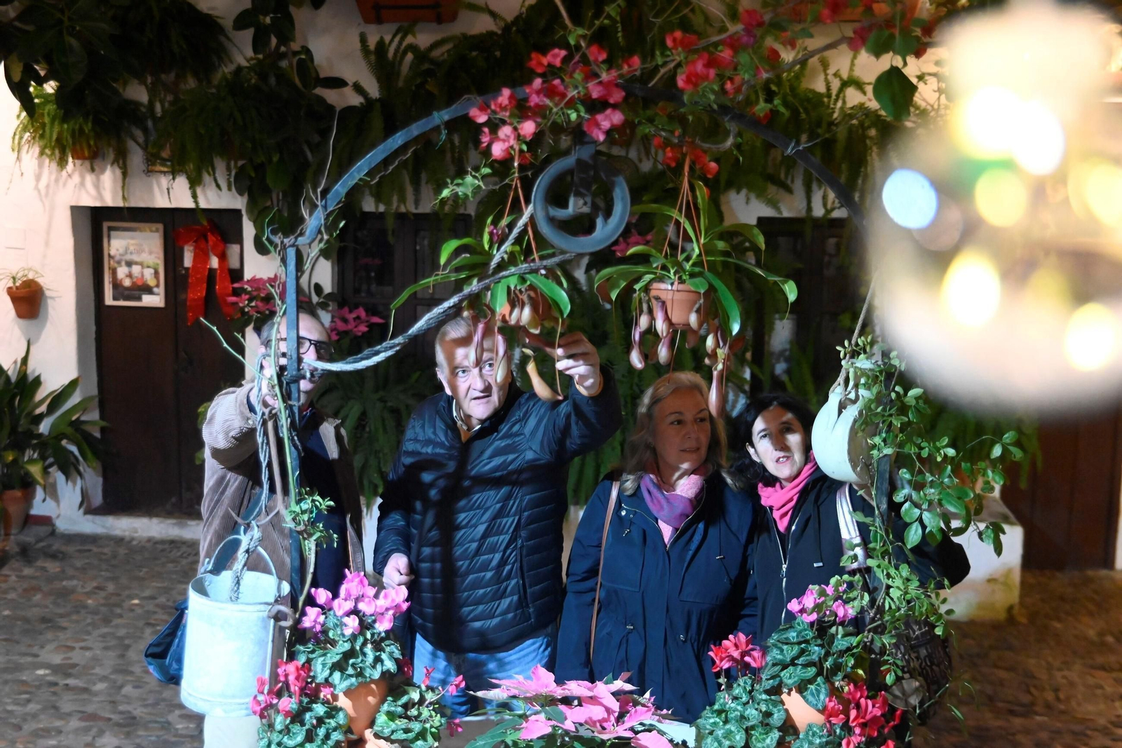 Los patios de Córdoba se llenan de alegría en Navidad